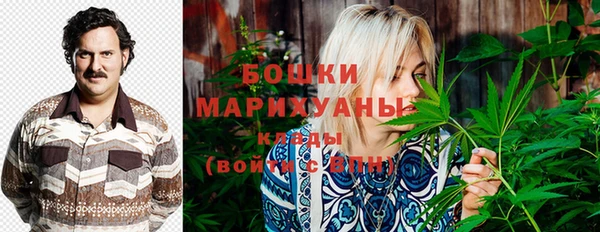 ПСИЛОЦИБИНОВЫЕ ГРИБЫ Корсаков