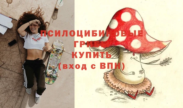 ПСИЛОЦИБИНОВЫЕ ГРИБЫ Корсаков