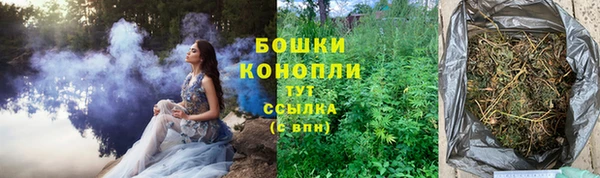 2c-b Костерёво