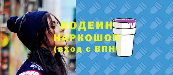 ПСИЛОЦИБИНОВЫЕ ГРИБЫ Корсаков