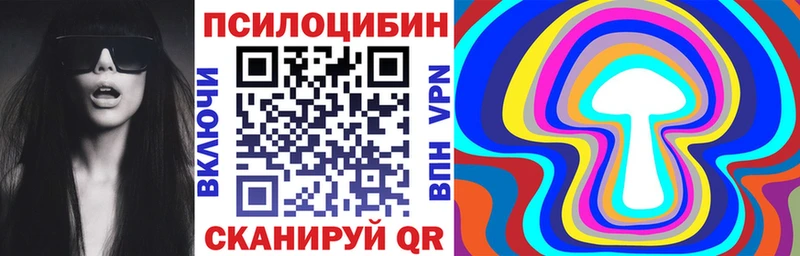 Купить  Чаплыгин  Псилоцибиновые грибы Magic Shrooms 
